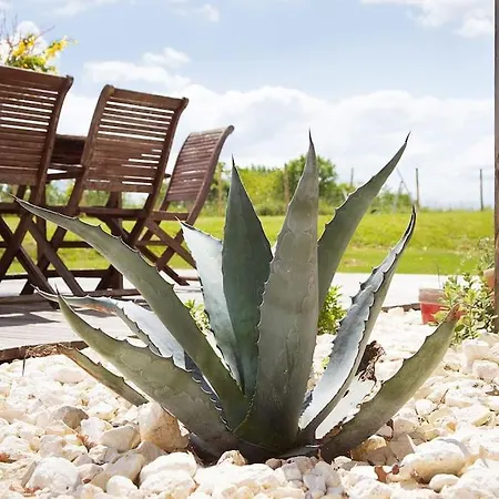 Dans Le Périgord Couze-et-Saint-Front