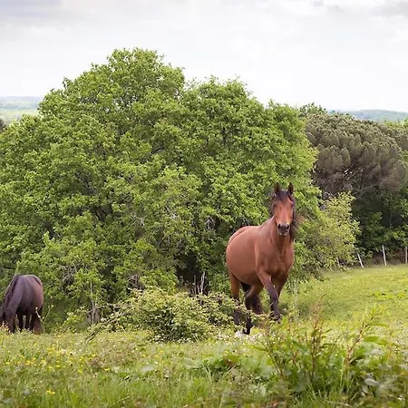 Dans Le Périgord Couze-et-Saint-Front